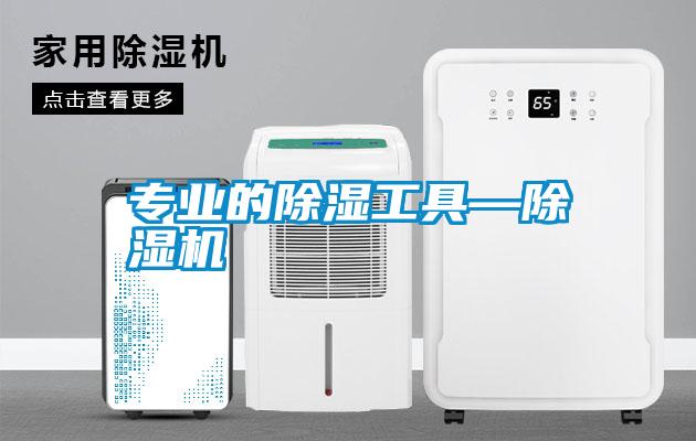 专业的除湿工具—除湿机