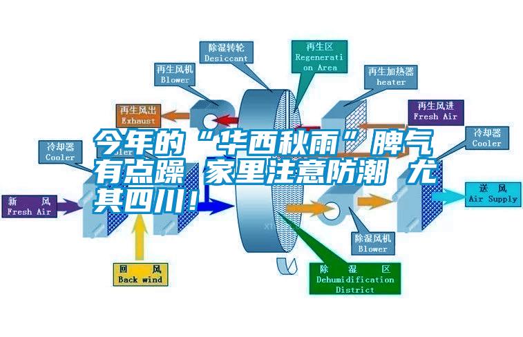 今年的“华西秋雨”脾气有点躁 家里注意防潮 尤其四川！