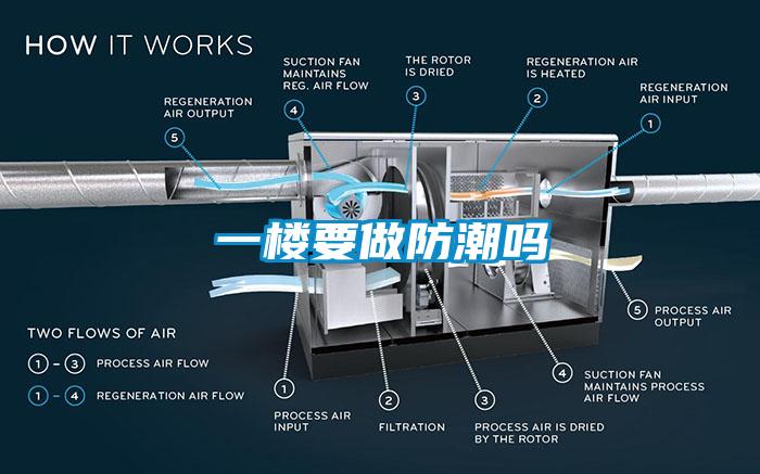 一楼要做防潮吗