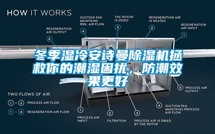 冬季湿冷安诗曼除湿机拯救你的潮湿困扰，防潮效果更好