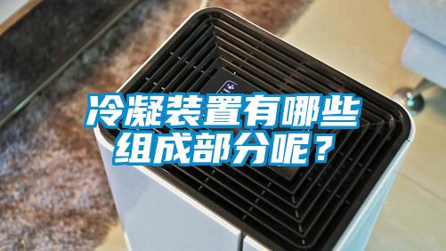 冷凝装置有哪些组成部分呢？