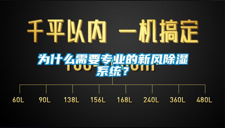 为什么需要专业的新风除湿系统？