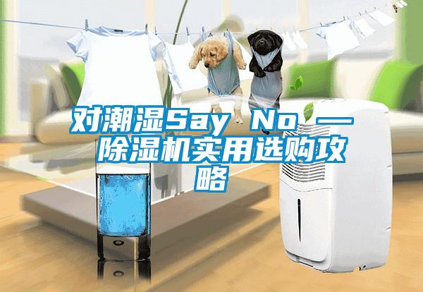 对潮湿Say No — 除湿机实用选购攻略