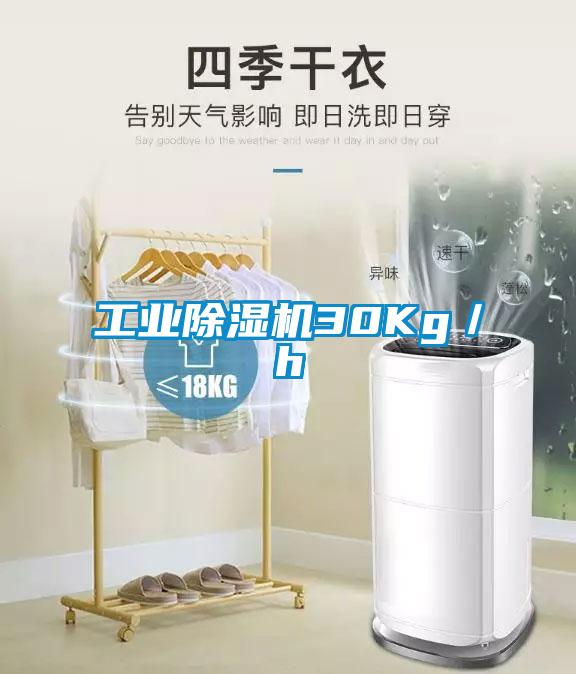 工业除湿机30Kg／h