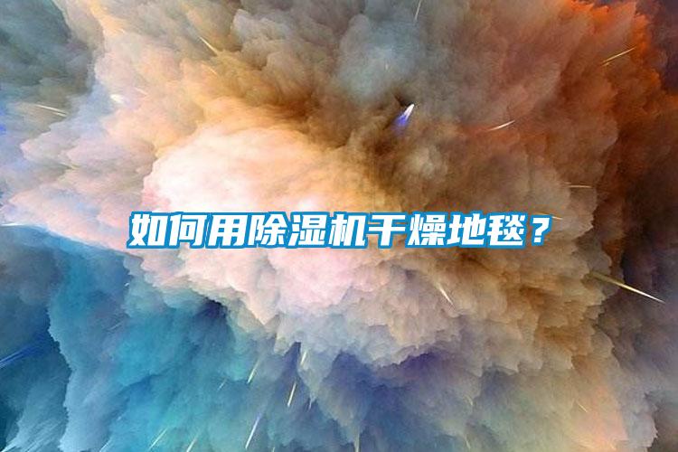 如何用除湿机干燥地毯？