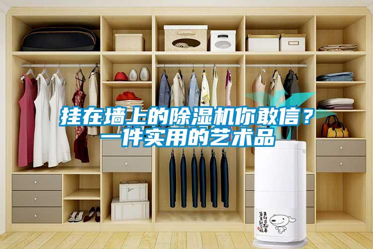 挂在墙上的除湿机你敢信？一件实用的艺术品