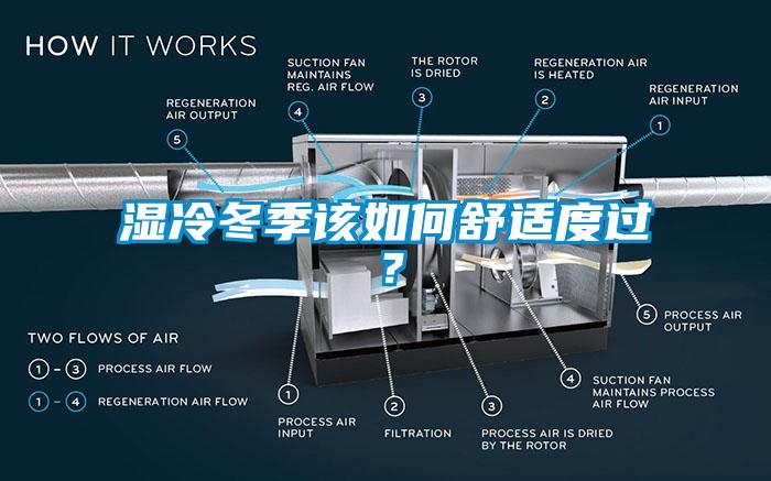 湿冷冬季该如何舒适度过？