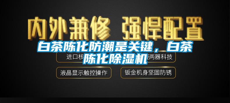 白茶陈化防潮是关键，白茶陈化除湿机