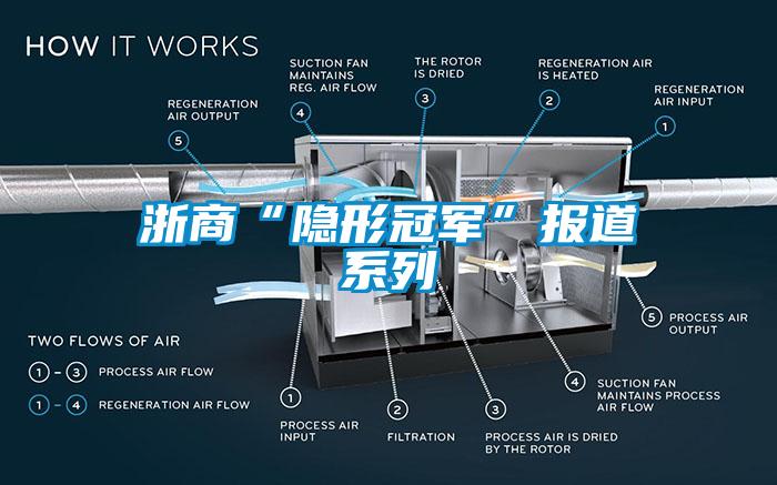 浙商“隐形冠军”报道系列