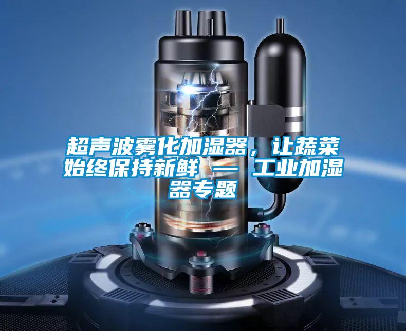 超声波雾化加湿器，让蔬菜始终保持新鲜 — 工业加湿器专题