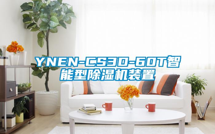 YNEN-CS3D-60T智能型除湿机装置