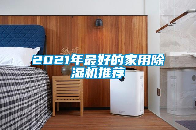 2021年最好的家用除湿机推荐