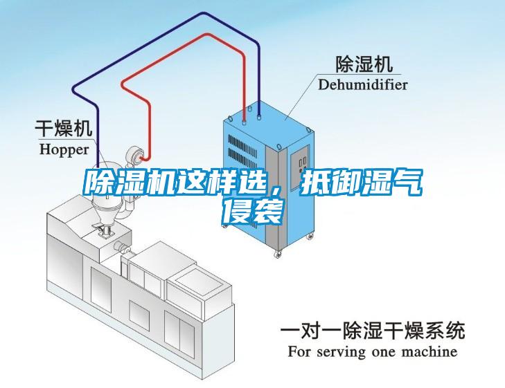 除湿机这样选，抵御湿气侵袭