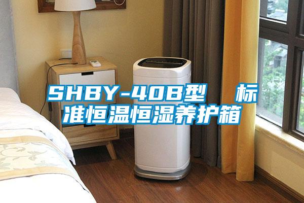 SHBY-40B型  标准恒温恒湿养护箱