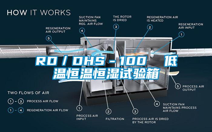 RD／DHS－100  低温恒温恒湿试验箱