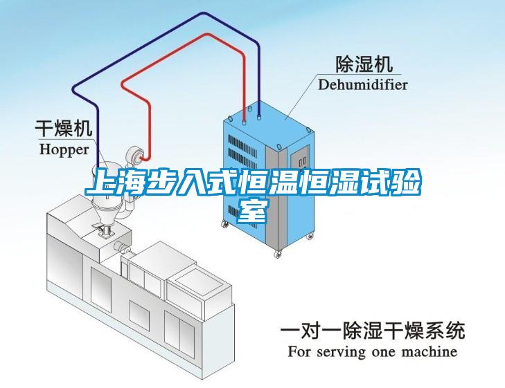 上海步入式恒温恒湿试验室