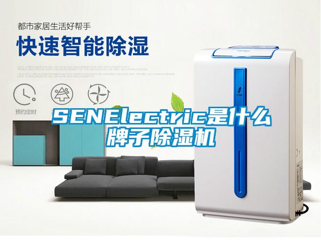 SENElectric是什么牌子除湿机