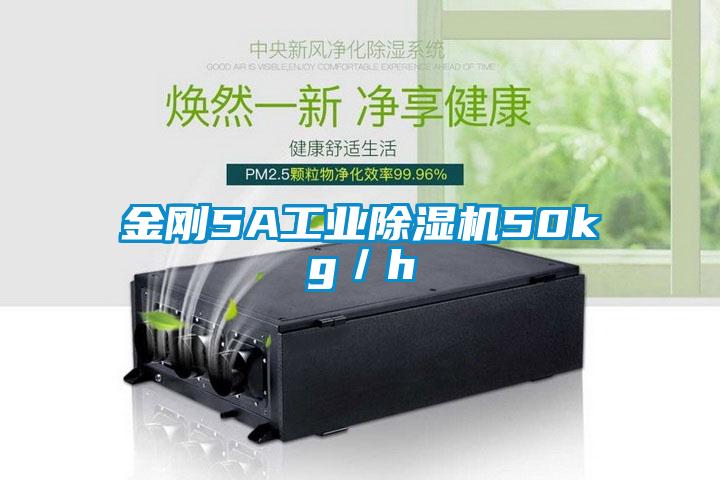 金刚5A工业除湿机50kg／h