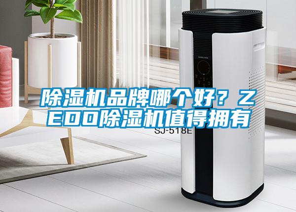 除湿机品牌哪个好？ZEDO除湿机值得拥有