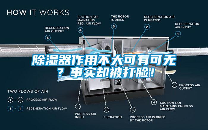 除湿器作用不大可有可无？事实却被打脸！