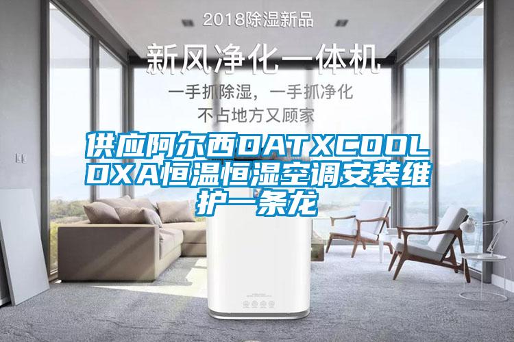 供应阿尔西DATXCOOLDXA恒温恒湿空调安装维护一条龙