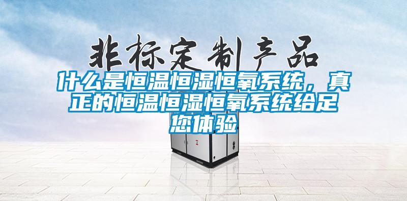 什么是恒温恒湿恒氧系统，真正的恒温恒湿恒氧系统给足您体验