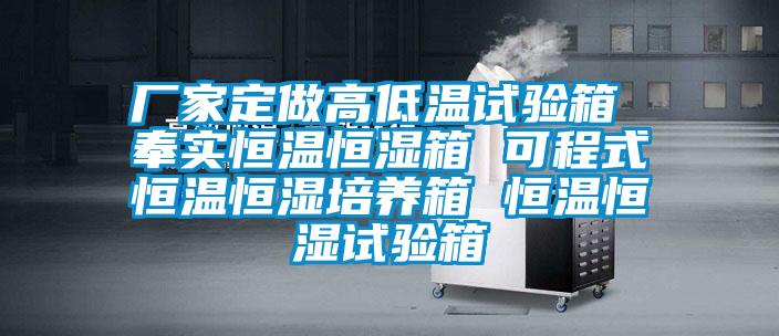 厂家定做高低温试验箱 奉实恒温恒湿箱 可程式恒温恒湿培养箱 恒温恒湿试验箱