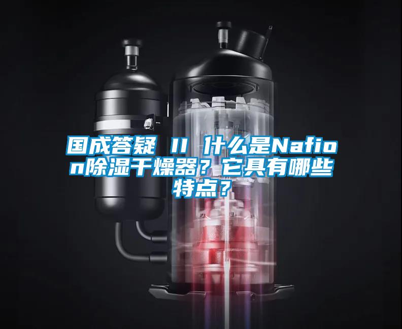 国成答疑 II 什么是Nafion除湿干燥器？它具有哪些特点？