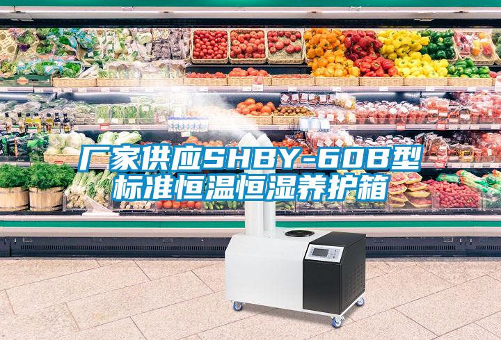 厂家供应SHBY-60B型标准恒温恒湿养护箱