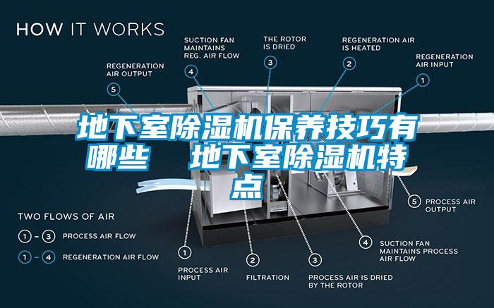 地下室除湿机保养技巧有哪些  地下室除湿机特点