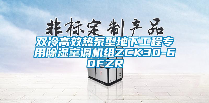 双冷高效热泵型地下工程专用除湿空调机组ZCK30-60FZR