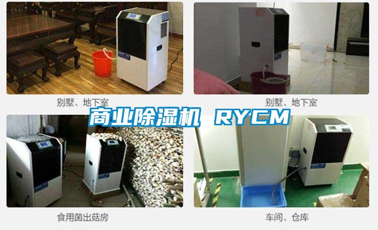 商业除湿机 RYCM