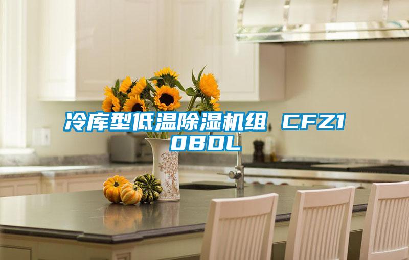 冷库型低温除湿机组 CFZ10BDL