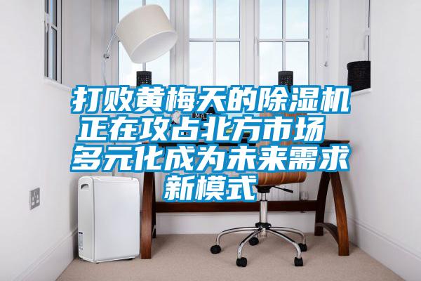 打败黄梅天的除湿机正在攻占北方市场 多元化成为未来需求新模式