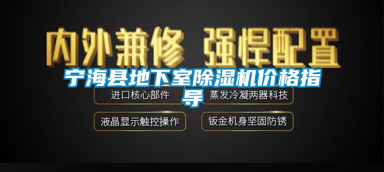 宁海县地下室除湿机价格指导