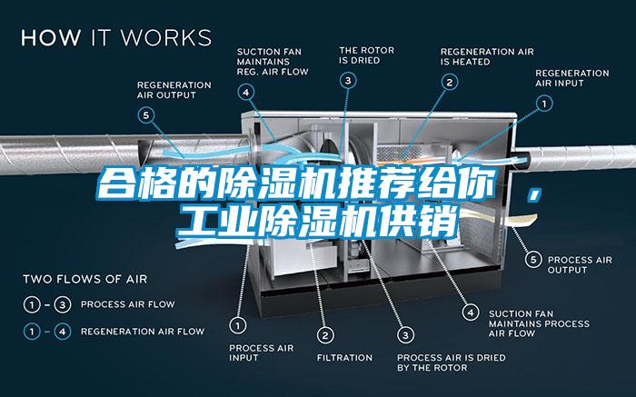 合格的除湿机推荐给你 ，工业除湿机供销