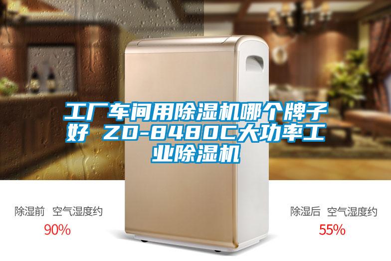 工厂车间用除湿机哪个牌子好 ZD-8480C大功率工业除湿机