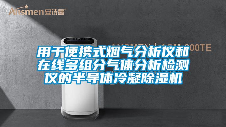 用于便携式烟气分析仪和在线多组分气体分析检测仪的半导体冷凝除湿机