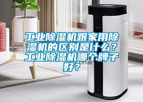 工业除湿机跟家用除湿机的区别是什么？工业除湿机哪个牌子好？