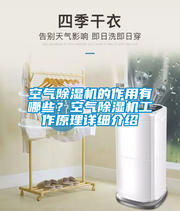 空气除湿机的作用有哪些？空气除湿机工作原理详细介绍