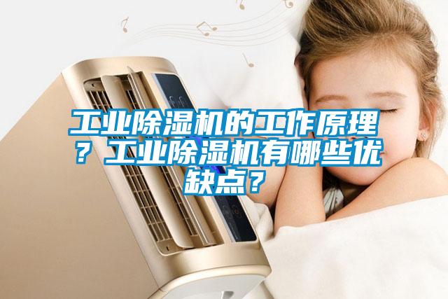 工业除湿机的工作原理？工业除湿机有哪些优缺点？