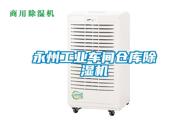 永州工业车间仓库除湿机