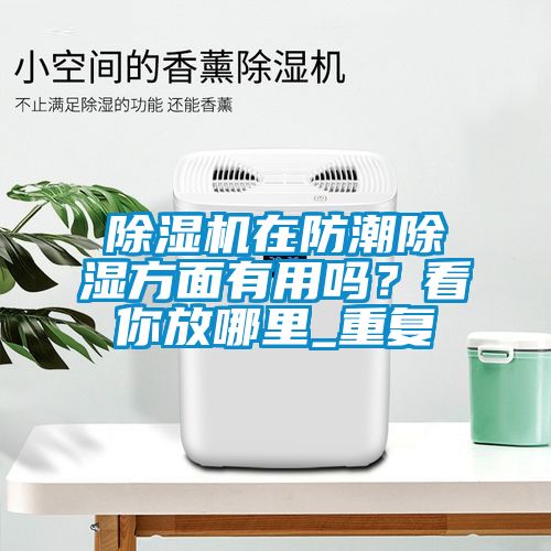 除湿机在防潮除湿方面有用吗？看你放哪里_重复