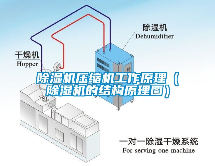 除湿机压缩机工作原理（除湿机的结构原理图）