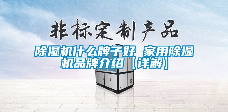 除湿机什么牌子好 家用除湿机品牌介绍【详解】