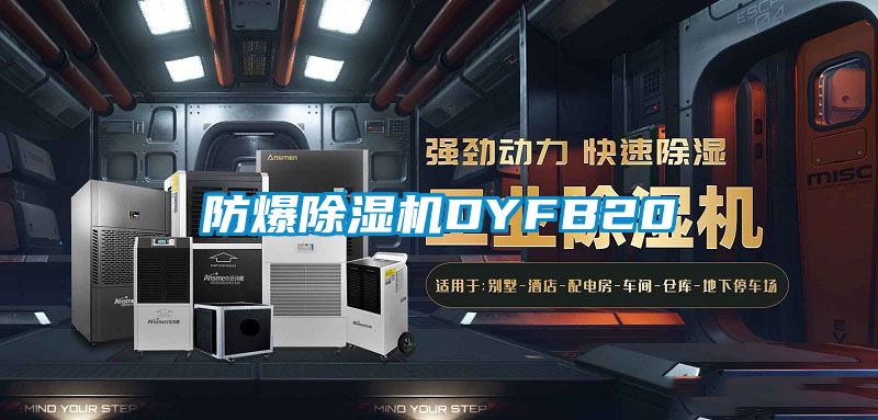 防爆除湿机DYFB20