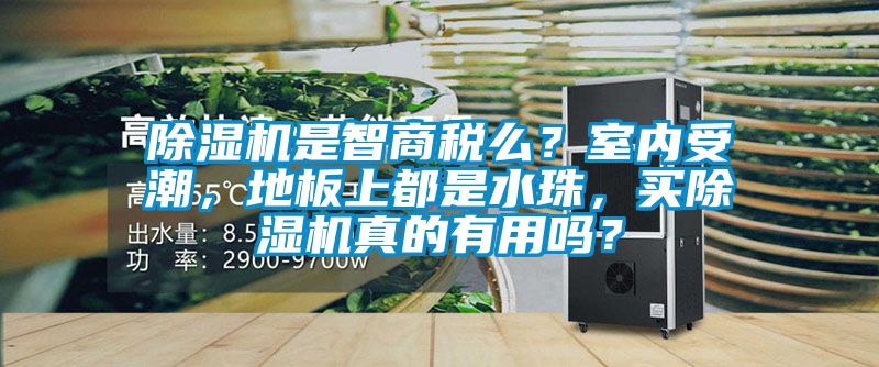 除湿机是智商税么？室内受潮，地板上都是水珠，买除湿机真的有用吗？