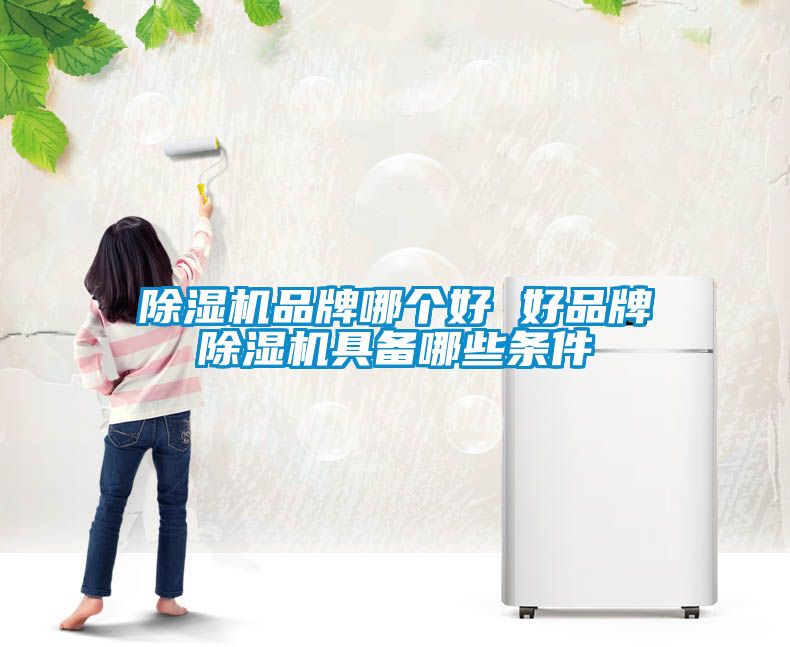 除湿机品牌哪个好 好品牌除湿机具备哪些条件