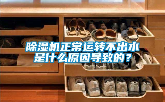 除湿机正常运转不出水是什么原因导致的？