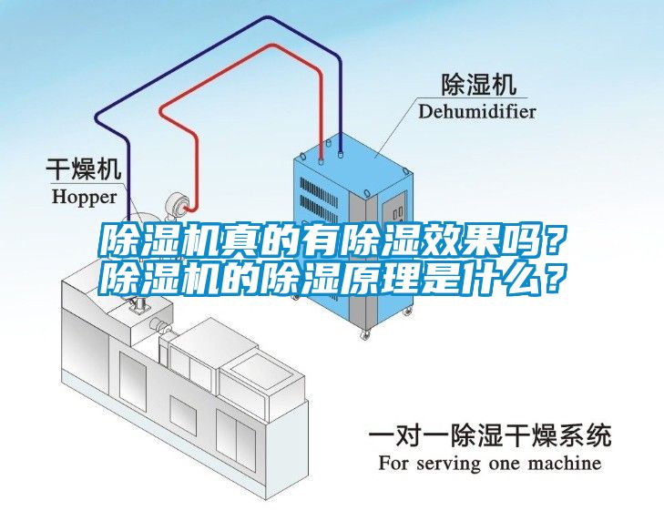 除湿机真的有除湿效果吗？除湿机的除湿原理是什么？